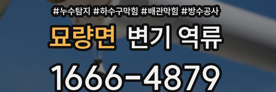 묘량면 변기 역류