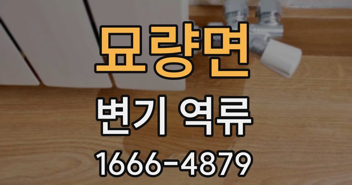 묘량면 변기 역류