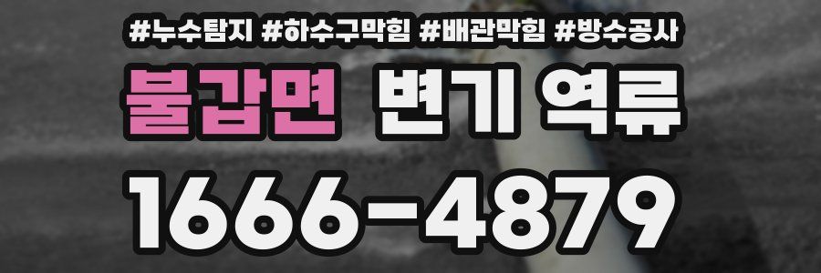 불갑면 변기 역류