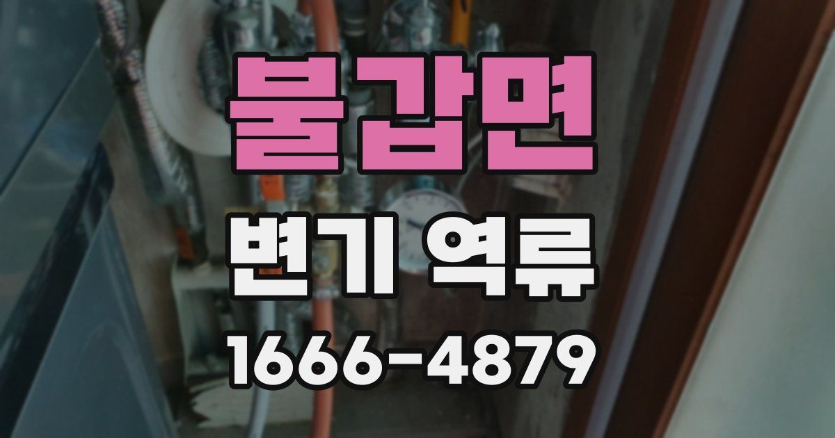 불갑면 변기 역류