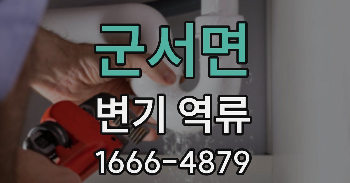 군서면 변기 역류