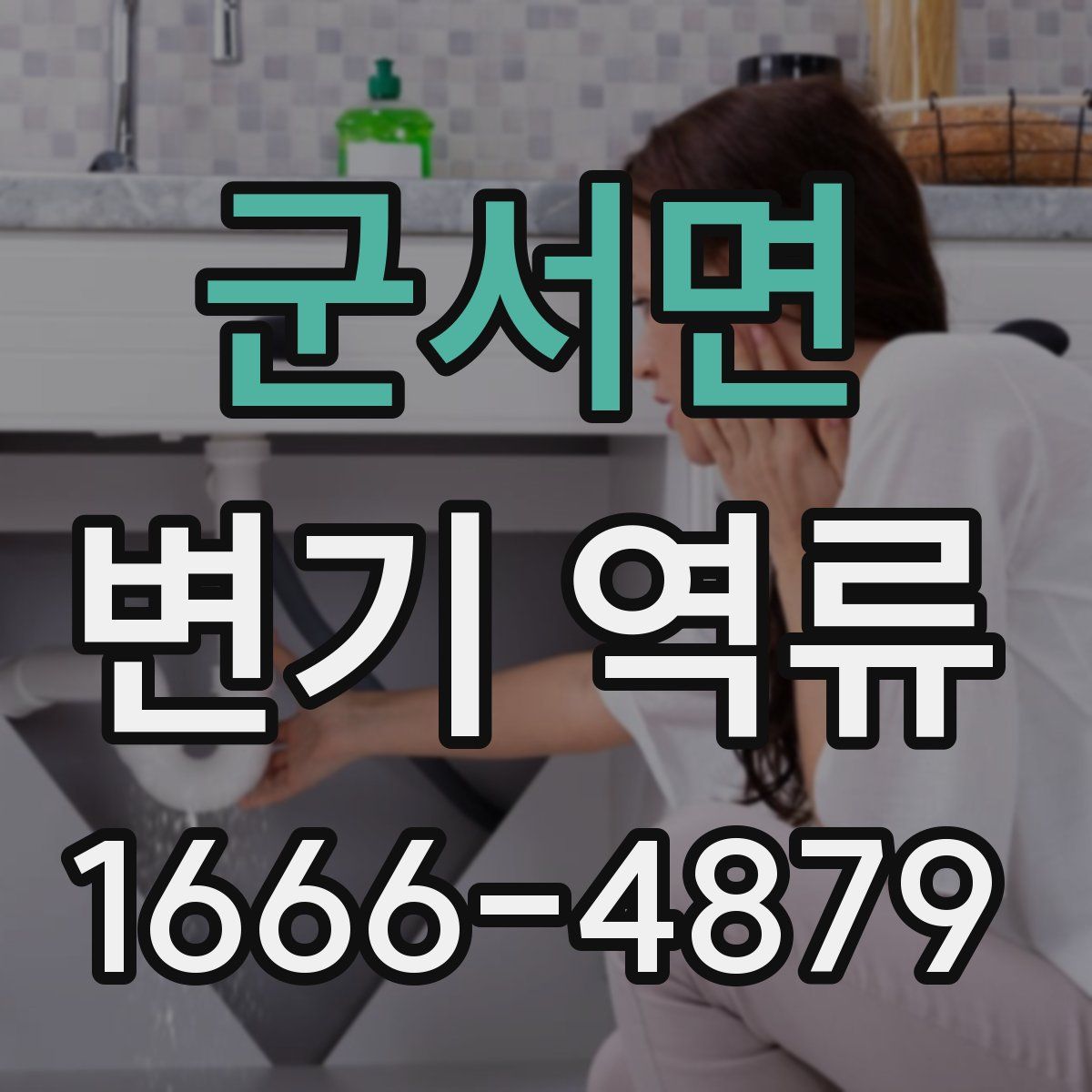 군서면 변기 역류