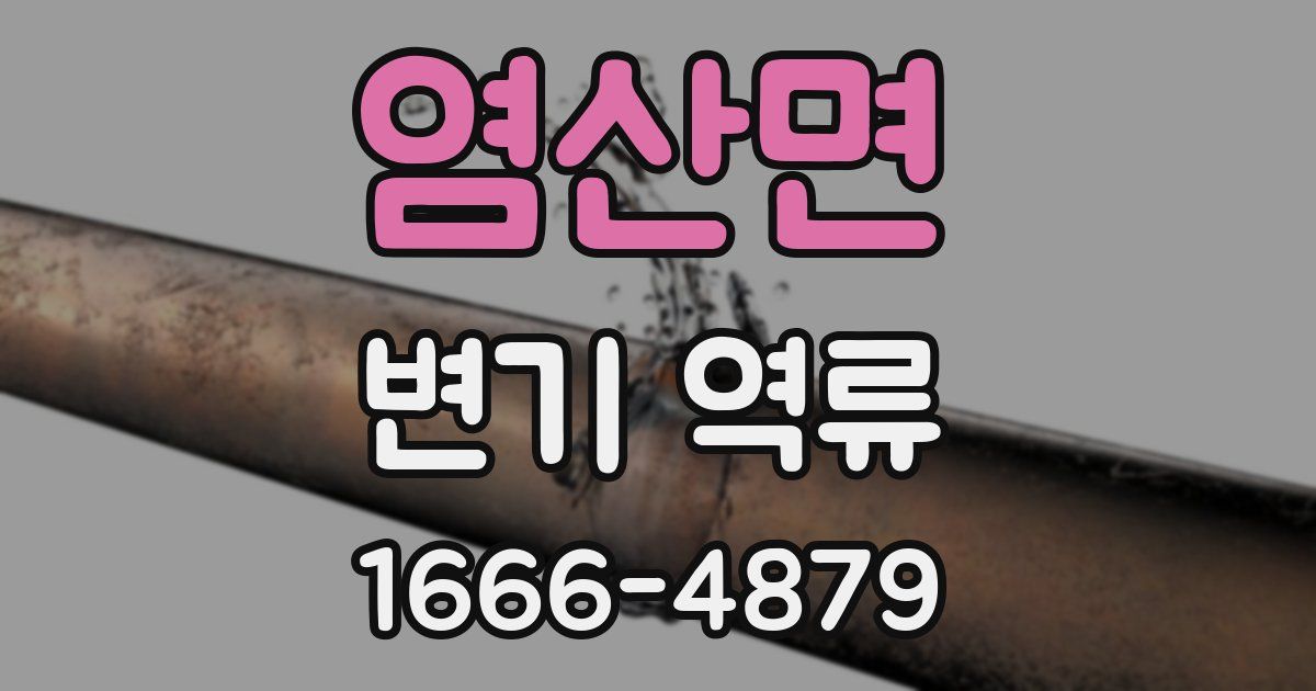 염산면 변기 역류
