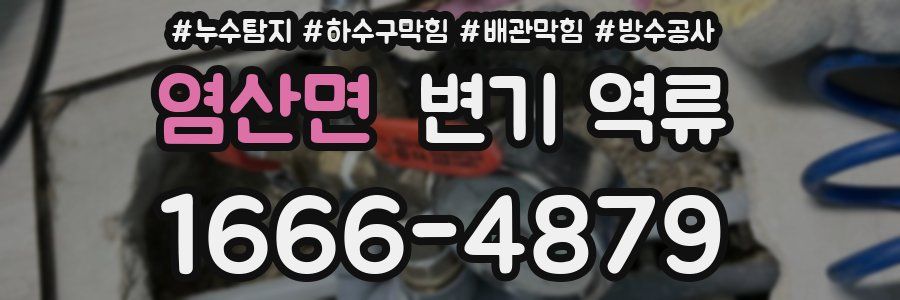 염산면 변기 역류