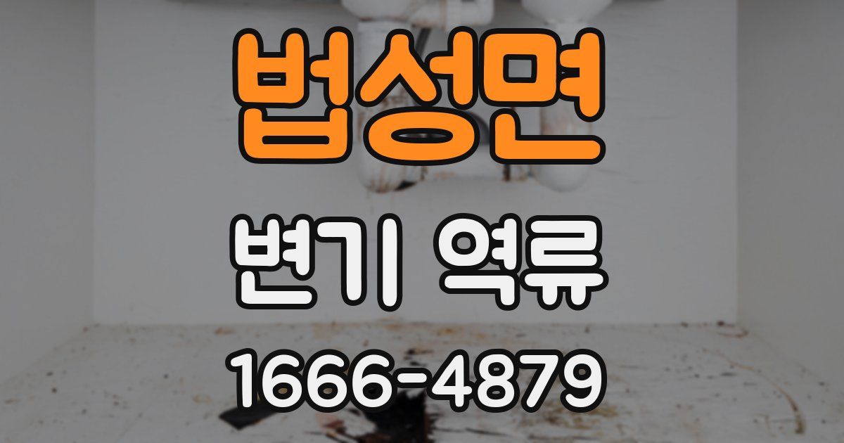 법성면 변기 역류