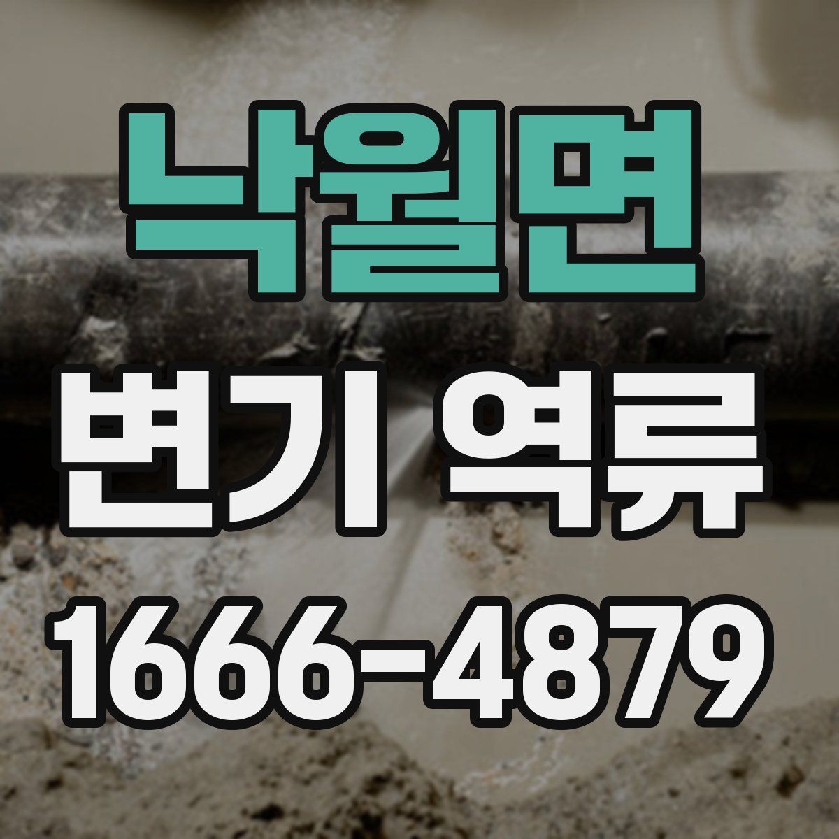 낙월면 변기 역류