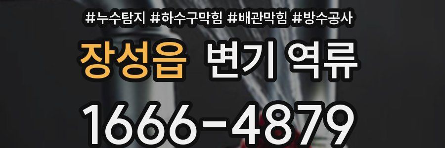장성읍 변기 역류
