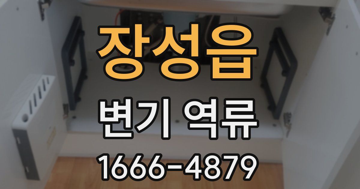 장성읍 변기 역류