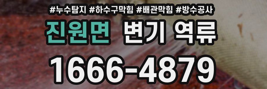 진원면 변기 역류