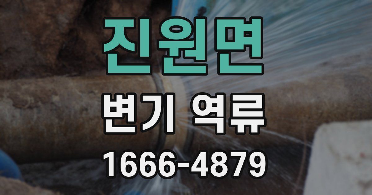 진원면 변기 역류