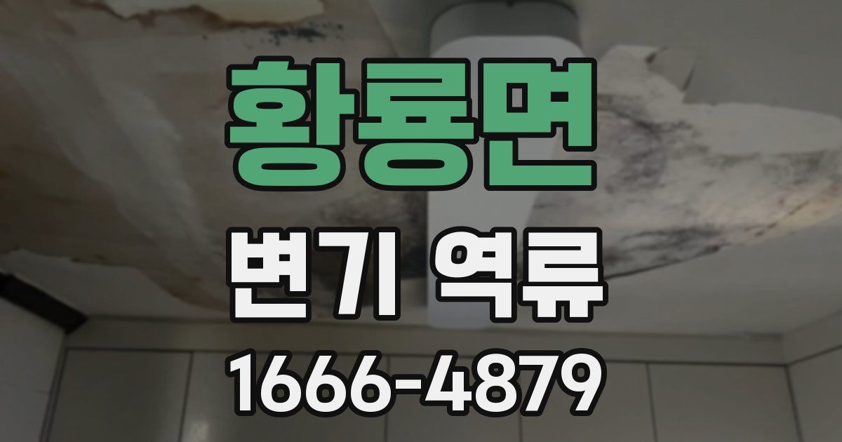 황룡면 변기 역류