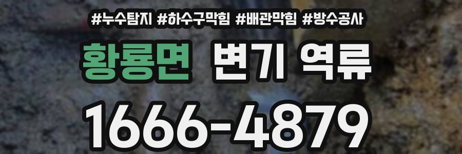 황룡면 변기 역류
