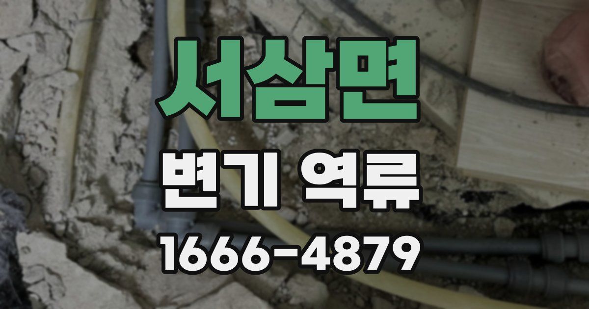 서삼면 변기 역류