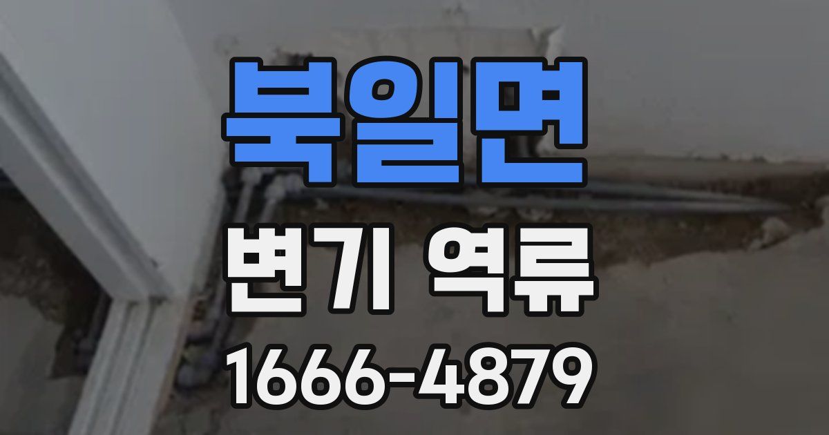 북일면 변기 역류