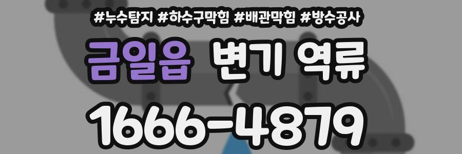 금일읍 변기 역류