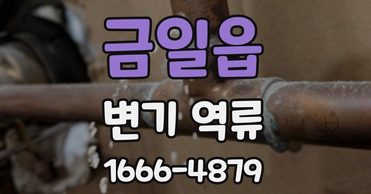 금일읍 변기 역류