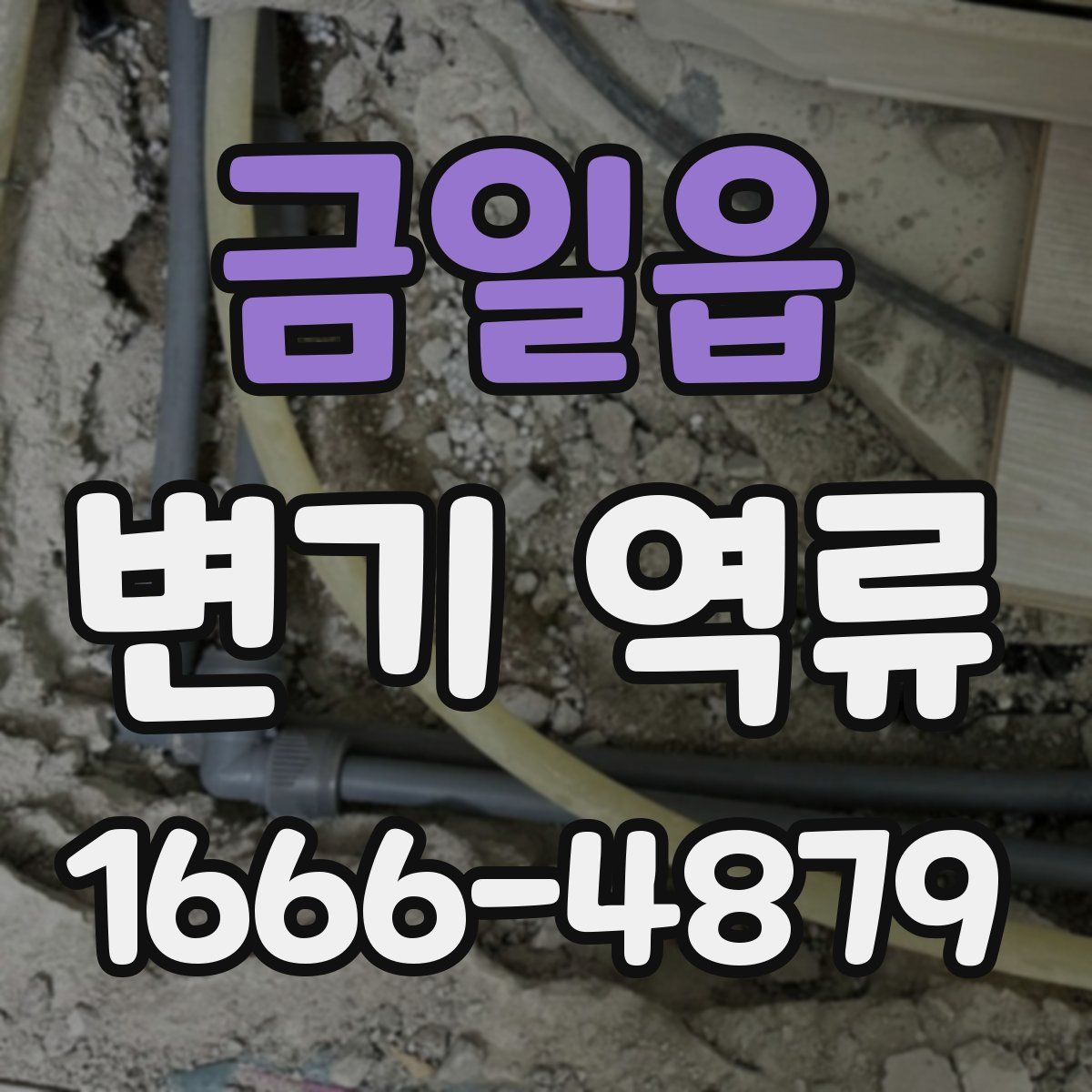금일읍 변기 역류