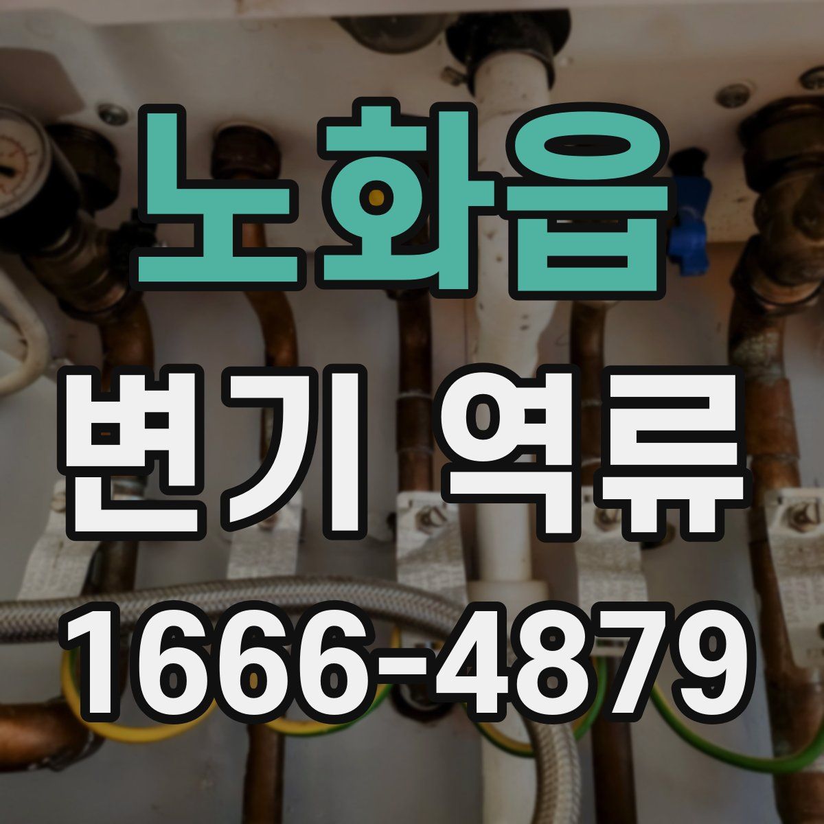 노화읍 변기 역류