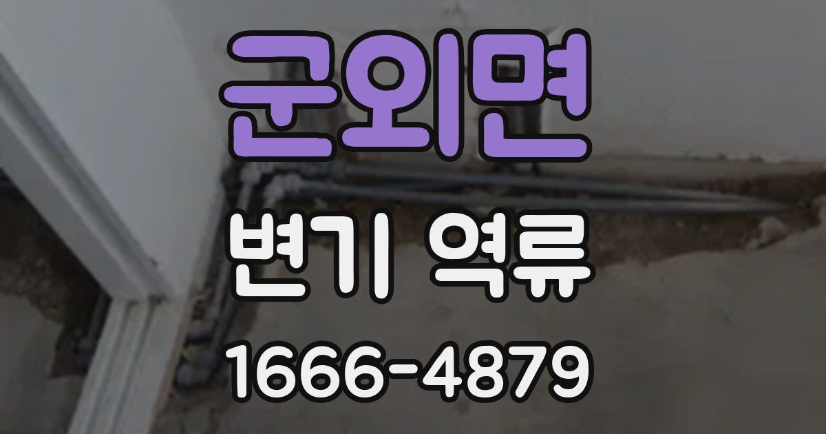 군외면 변기 역류