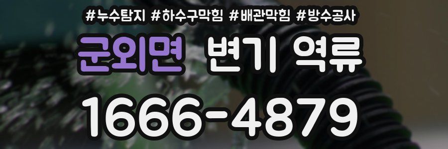 군외면 변기 역류