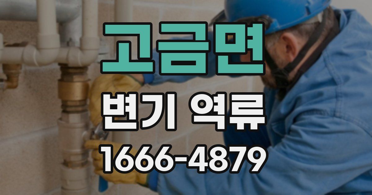 고금면 변기 역류