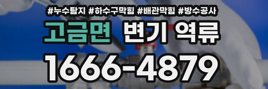 고금면 변기 역류