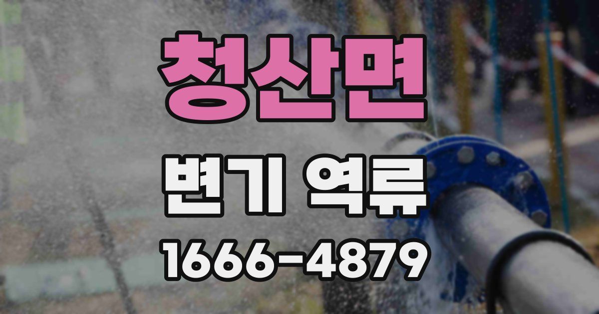청산면 변기 역류