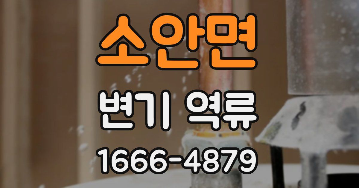 소안면 변기 역류