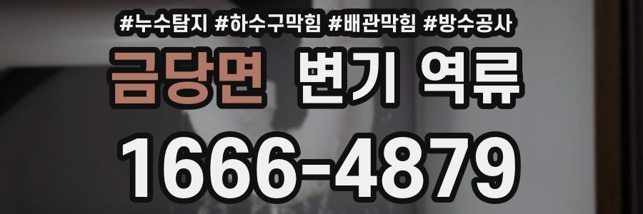 금당면 변기 역류