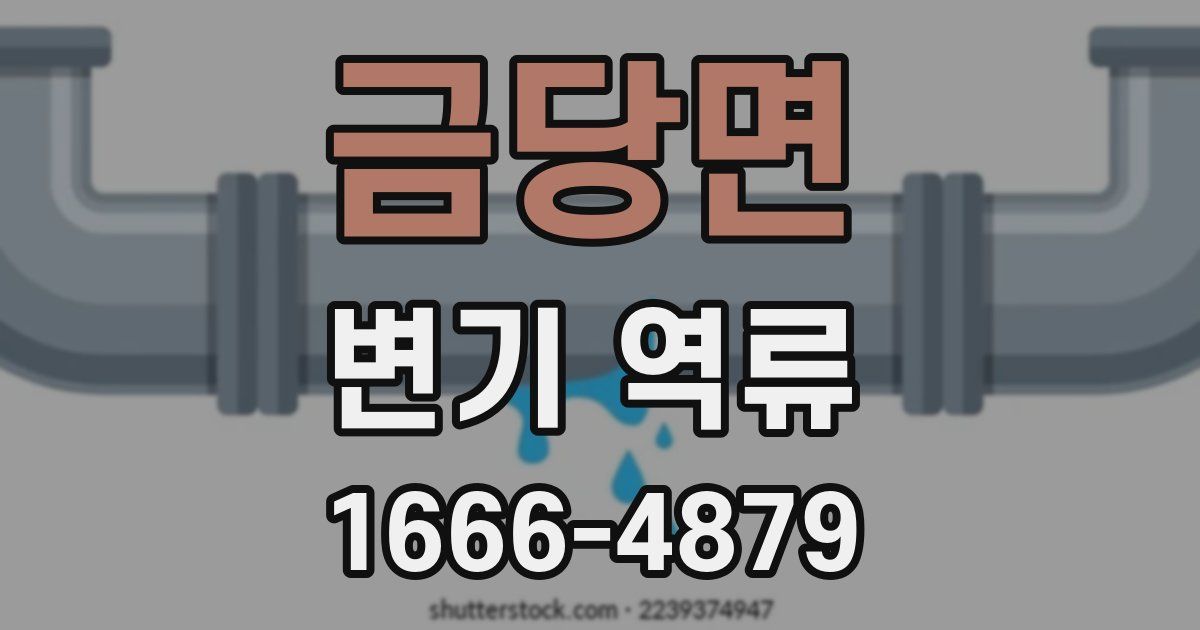 금당면 변기 역류