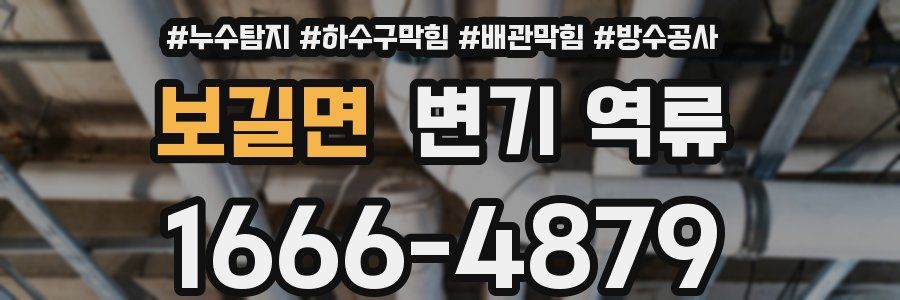 보길면 변기 역류