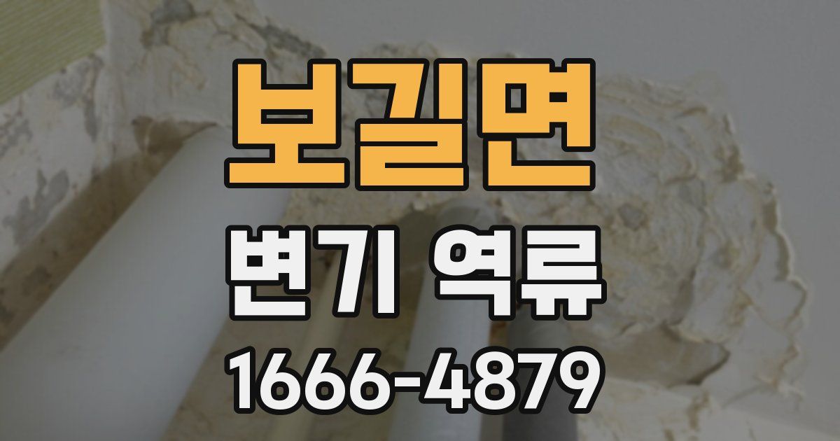 보길면 변기 역류