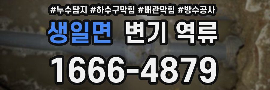 생일면 변기 역류