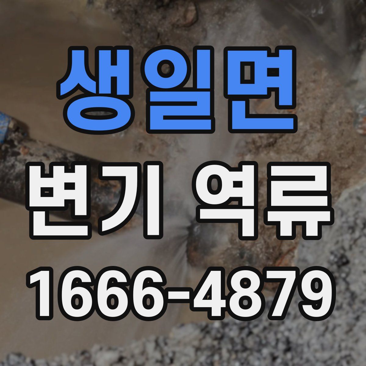 생일면 변기 역류