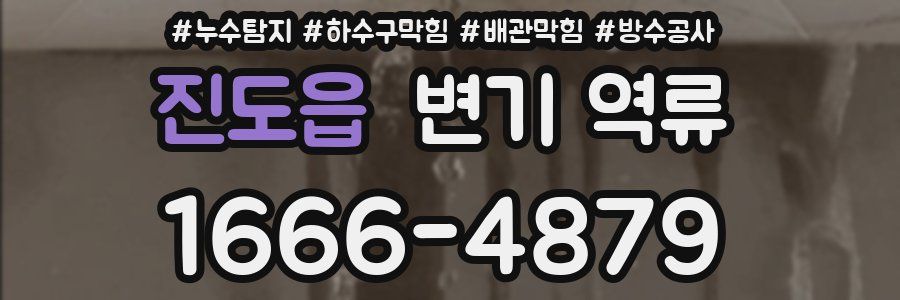 진도읍 변기 역류