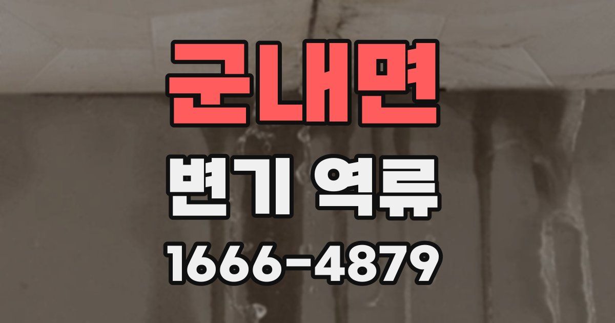 군내면 변기 역류