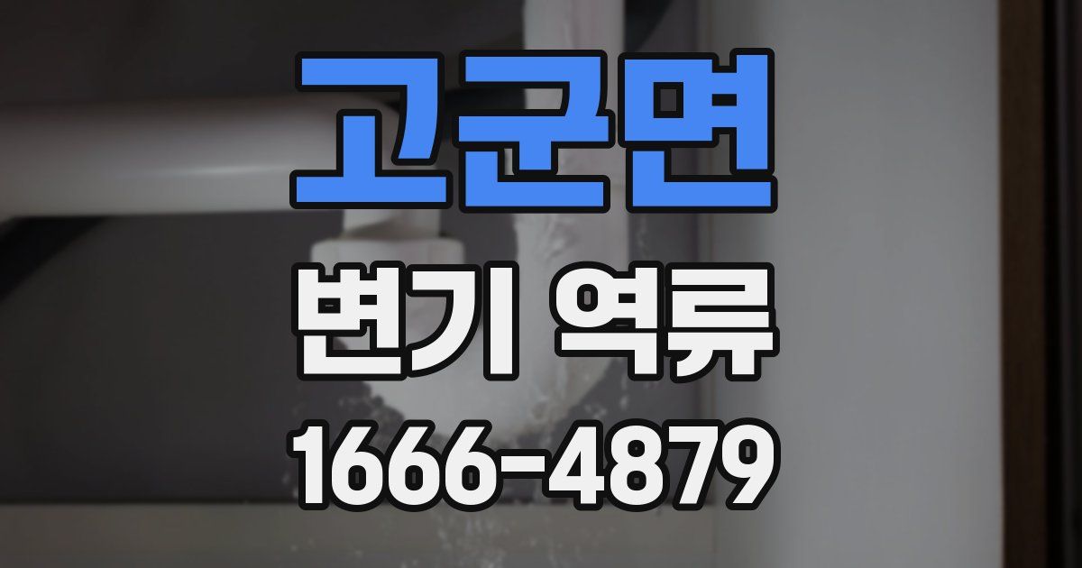 고군면 변기 역류