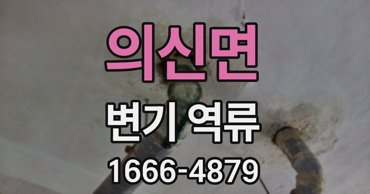의신면 변기 역류