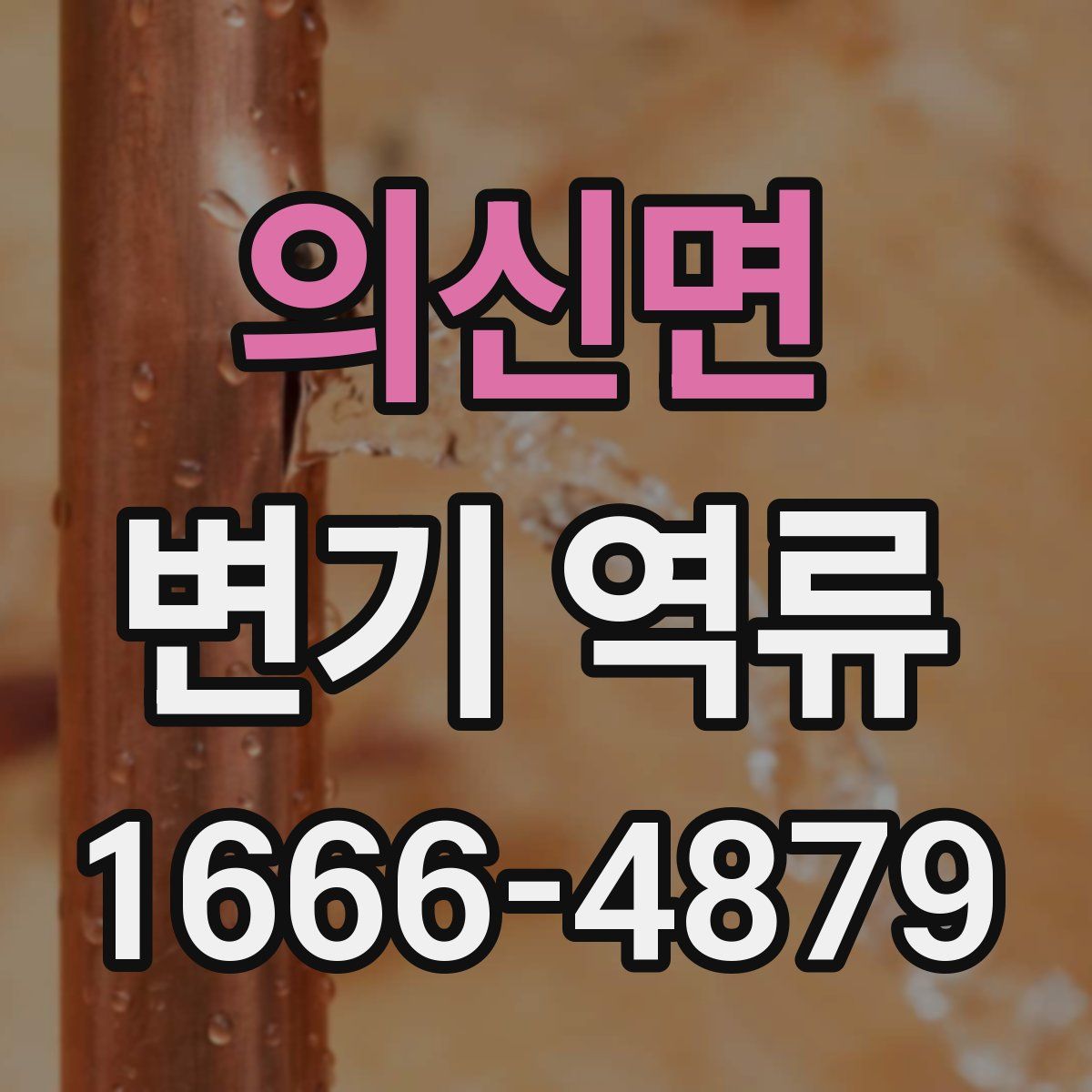 의신면 변기 역류