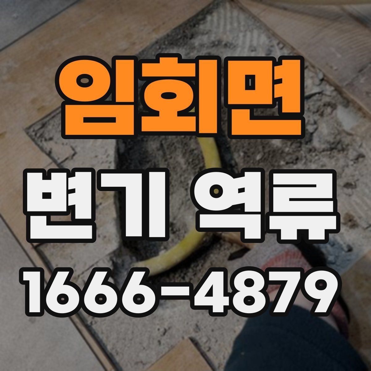 임회면 변기 역류