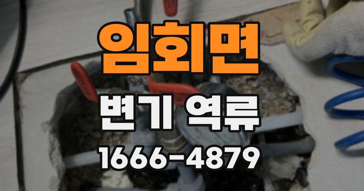 임회면 변기 역류