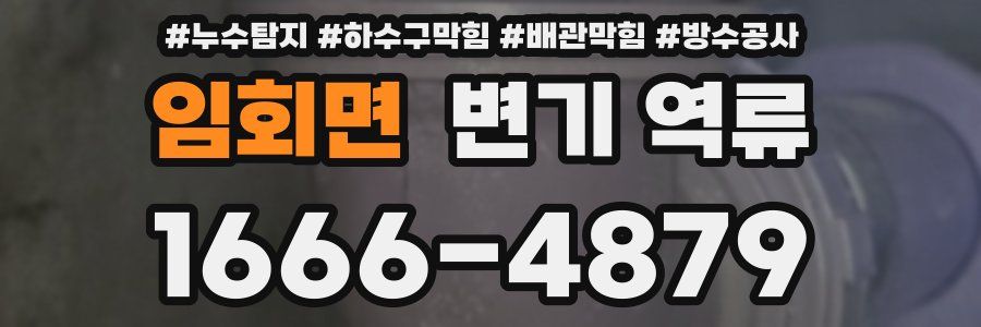 임회면 변기 역류