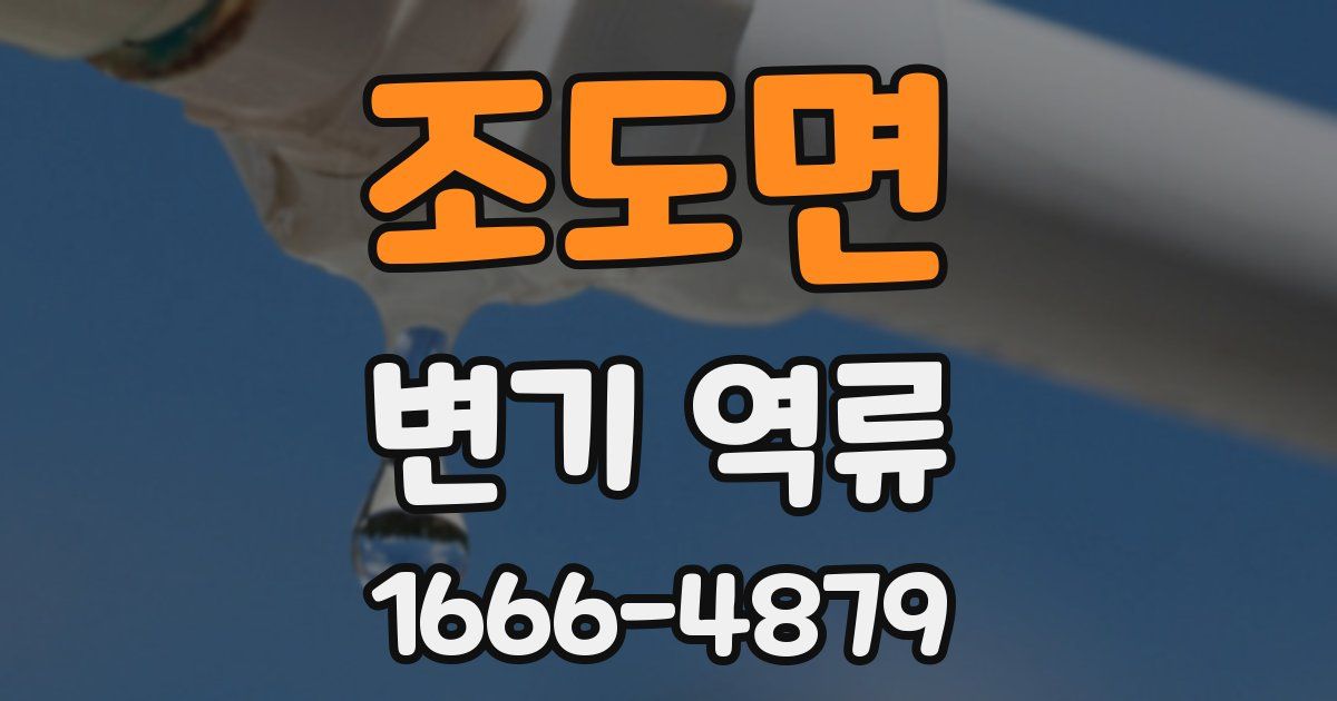 조도면 변기 역류