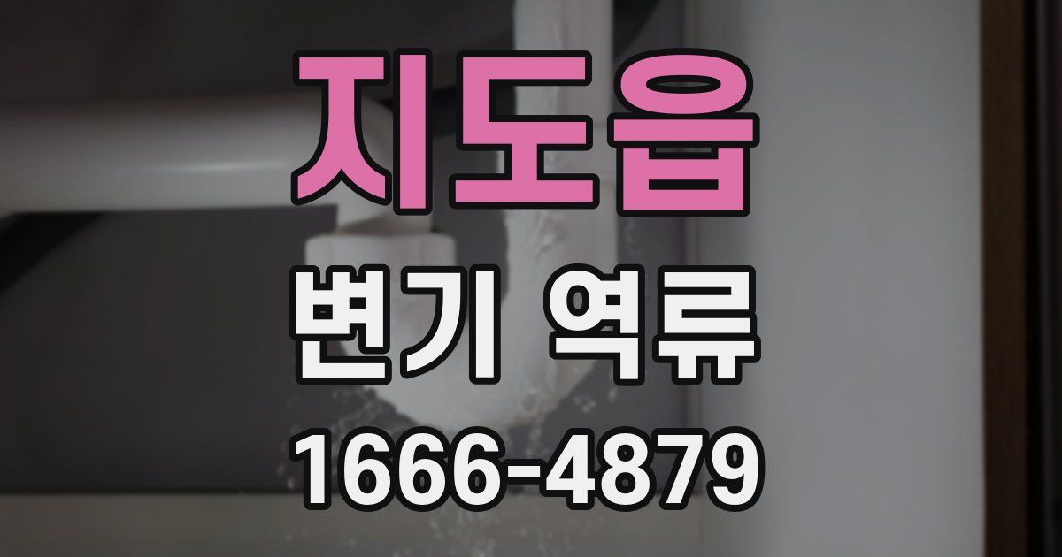 지도읍 변기 역류
