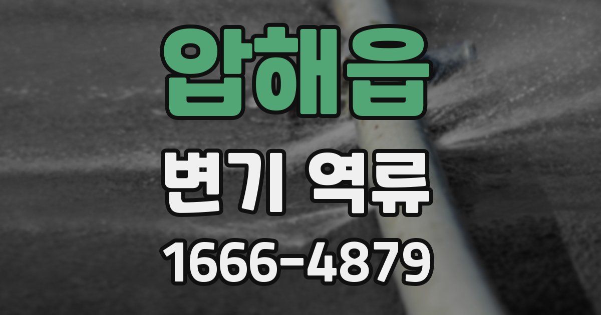 압해읍 변기 역류