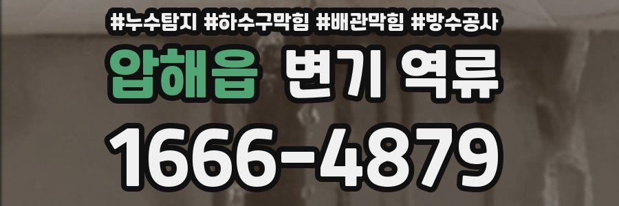 압해읍 변기 역류