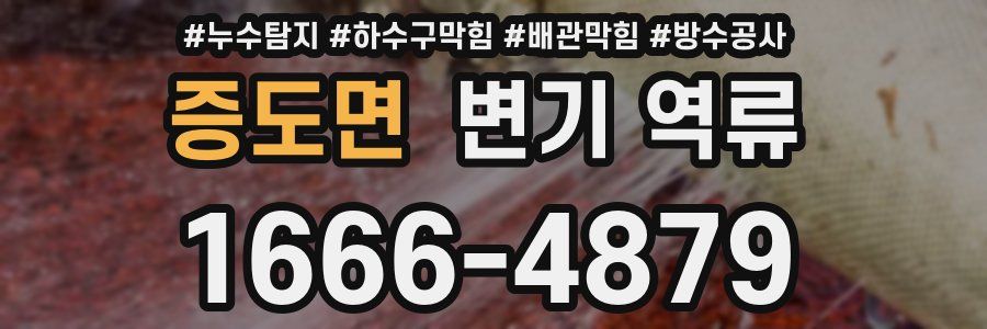 증도면 변기 역류