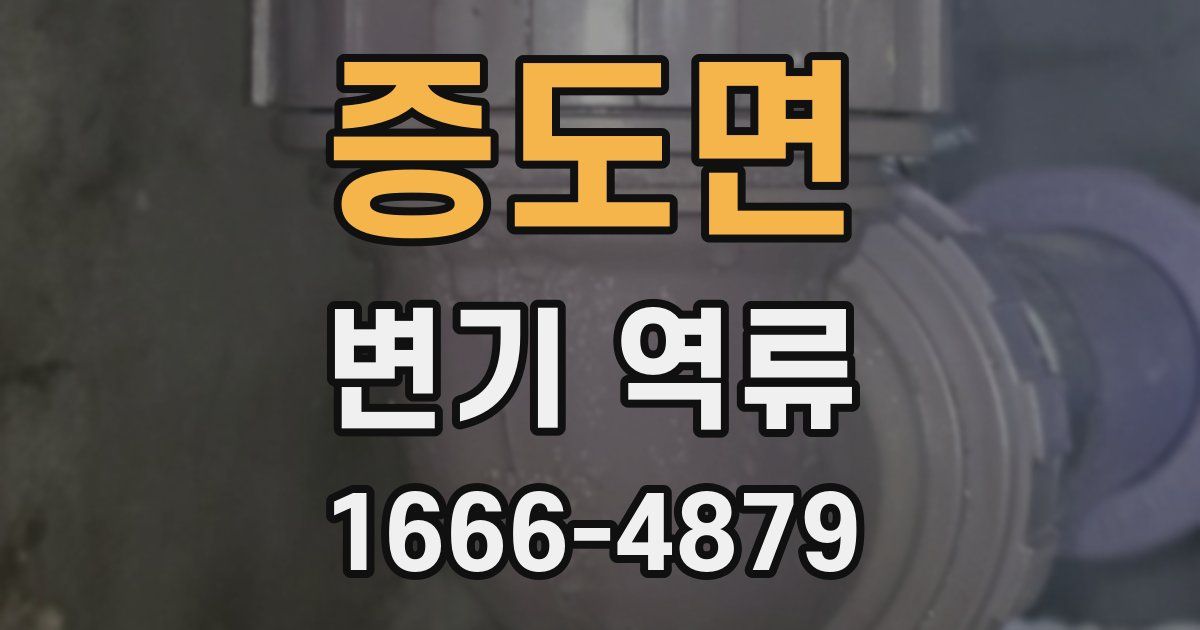 증도면 변기 역류