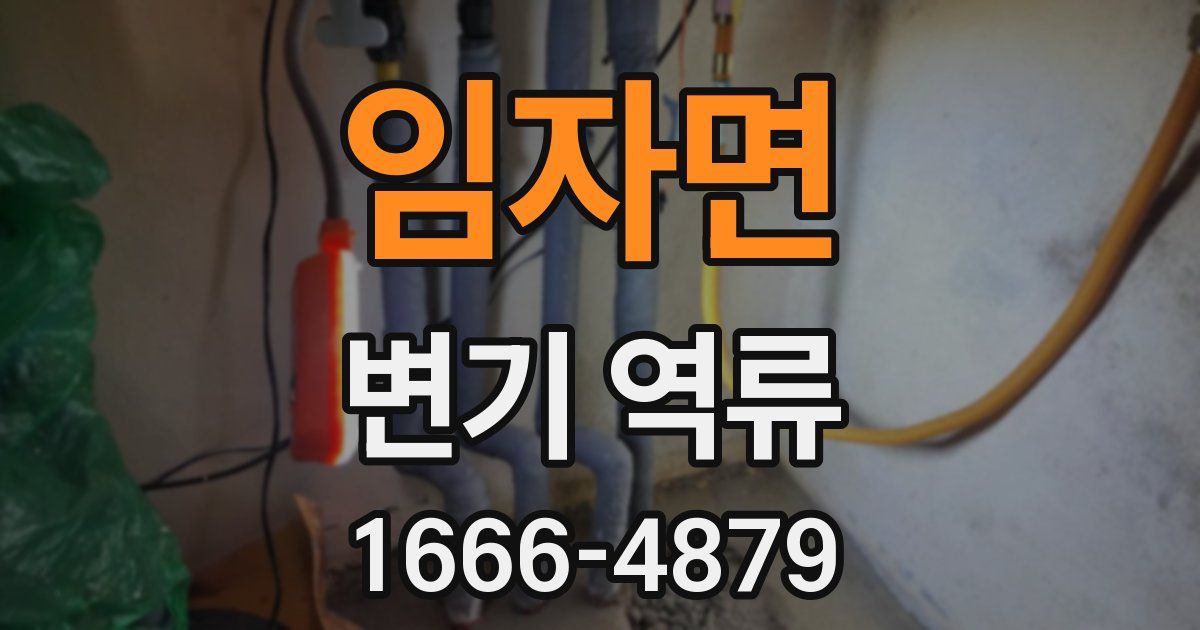 임자면 변기 역류