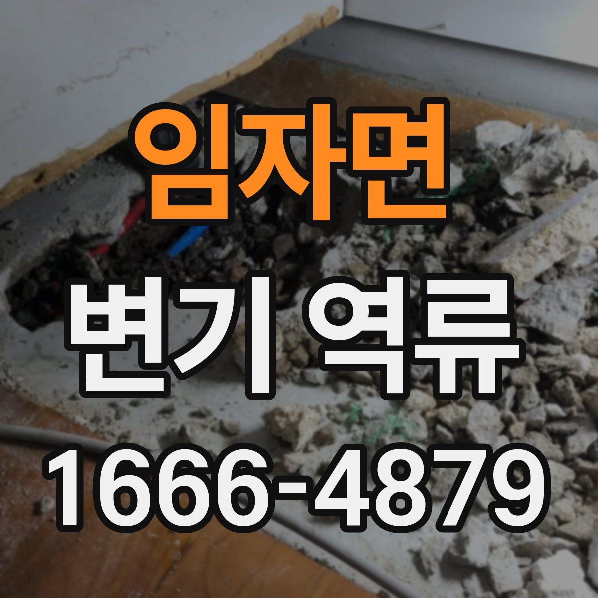 임자면 변기 역류